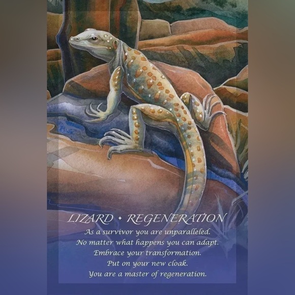 Spirit of the Animals Oracle - Picture 3 of 12